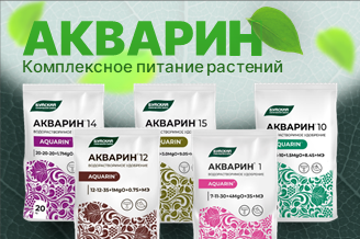 Восстанавливаем растения после заморозков!